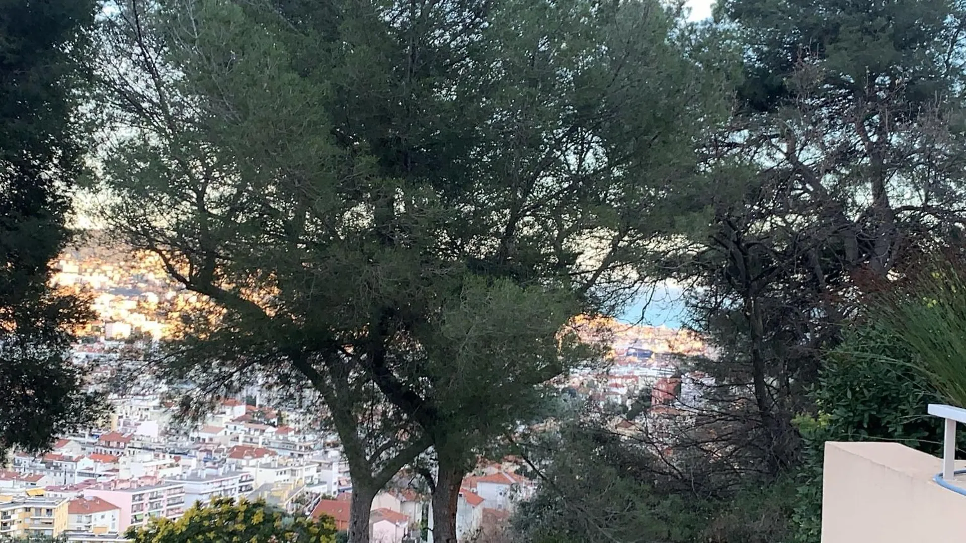 Chambre D Hote Avec Clim Terrasse Et Petit Dejeuner Hauteurs De Nice Séjour chez l'habitant